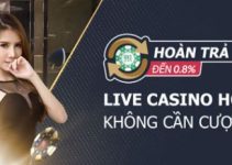 Hoàn Trả Không Giới Hạn Tới 0,8% Mỗi Ngày Tại Live Casino M88